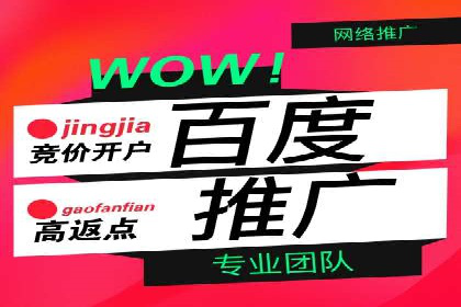 百度推广活动策划，实战案例展示